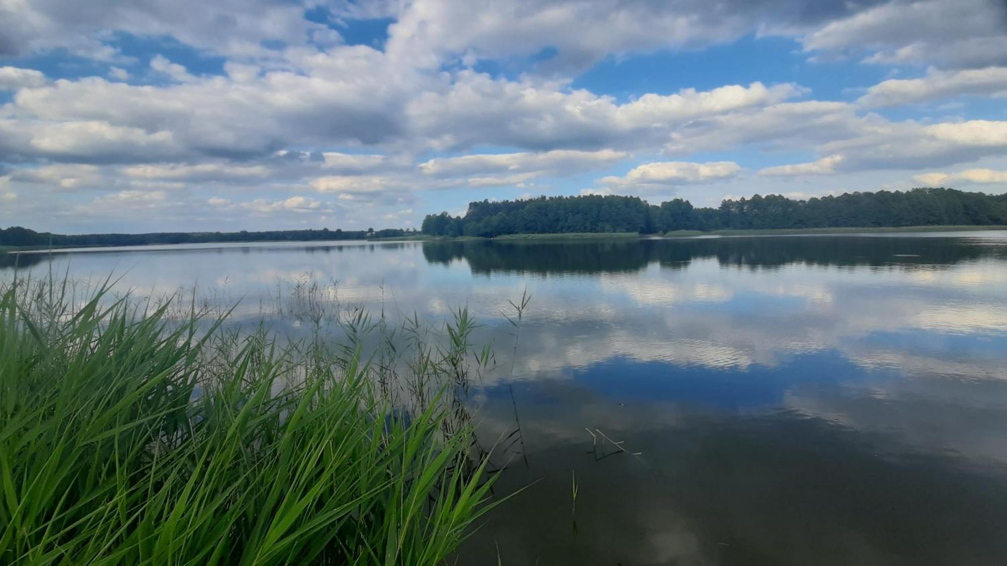 Domek Nad Stawem Bory Tucholskie Swiekatowo Exterior foto
